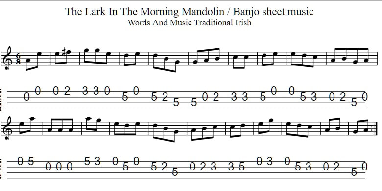 Gold Tone Mandolin Banjo (Banjolin) – Lark in the Morning